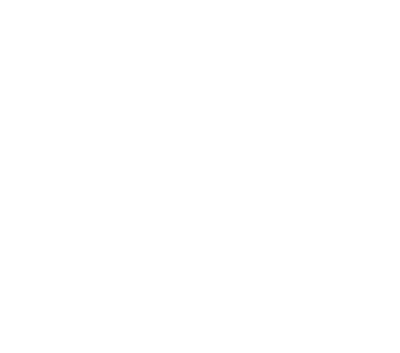 Bluesky Logo